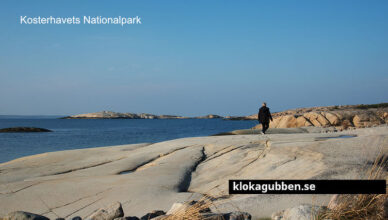 1 fantastiska natursevärdheter i Sverige att upptäcka - klokagubben