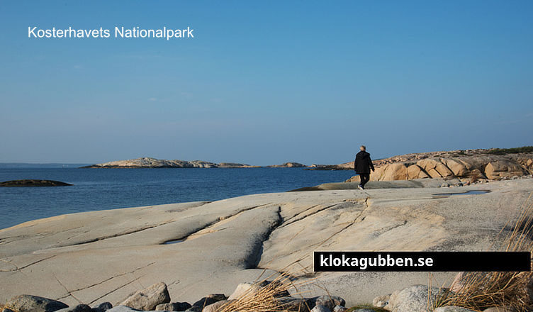 1 fantastiska natursevärdheter i Sverige att upptäcka - klokagubben